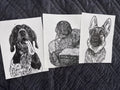 Custom Pet Portraits